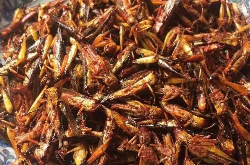 油炸蝼蛄
